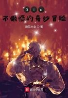 dio不懒惰的奇妙冒险起点